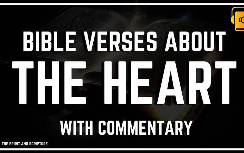 Top Bible Verses About The Heart - spiritandscriptures.com