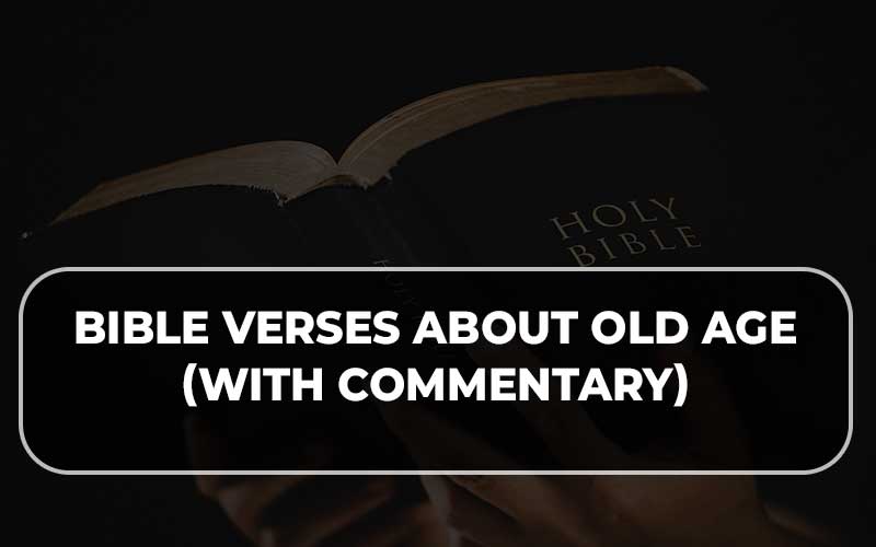Bible Verses About Old Age