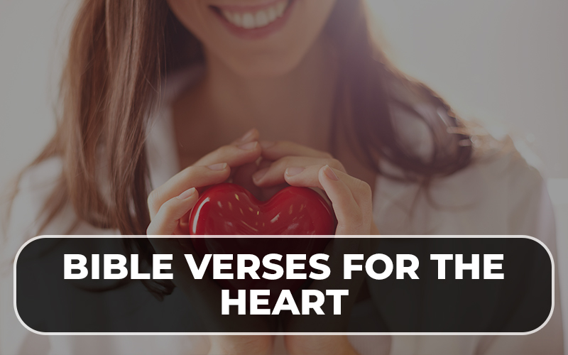 Bible Verses For The Heart (With Commentary) - spiritandscriptures.com
