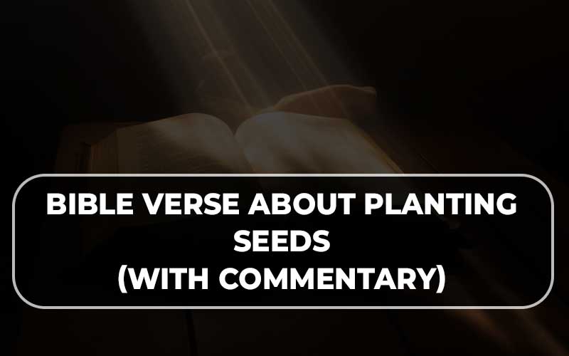 Bible Verse About Planting Seeds