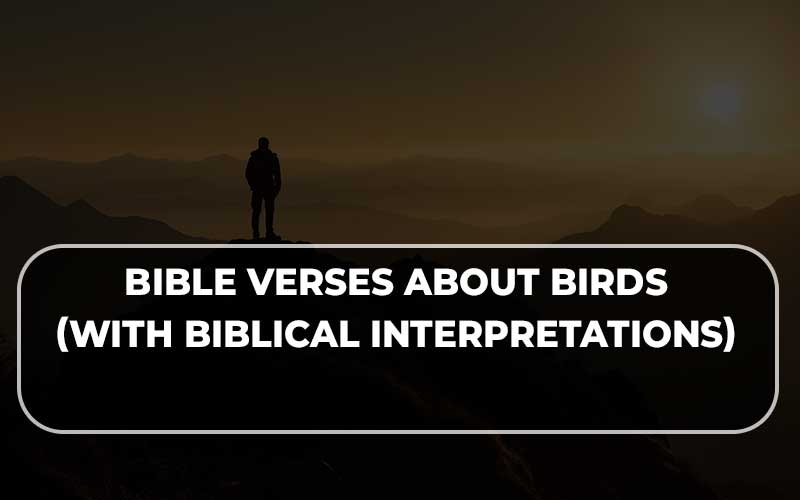 Bible Verses About Birds