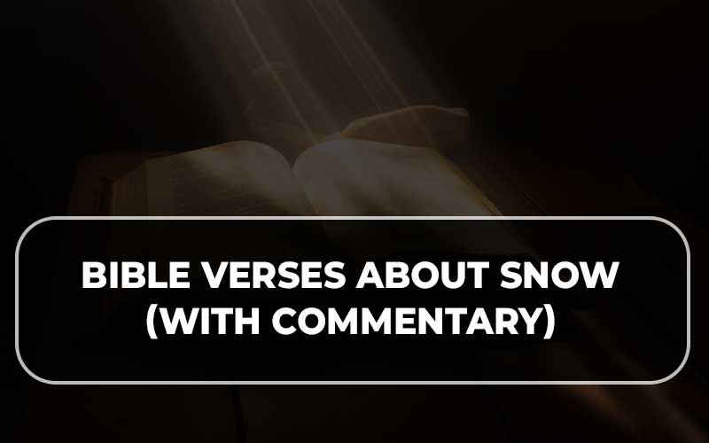Bible Verses About Snow